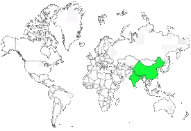 Distribution 