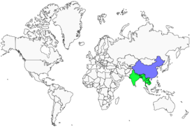 Distribution 