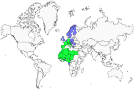Distribution 