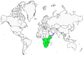 Distribution 