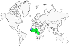 Distribution 