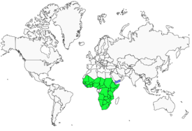 Distribution 