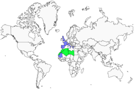 Distribution 