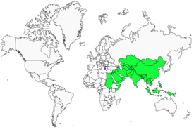Distribution 