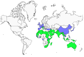Distribution 