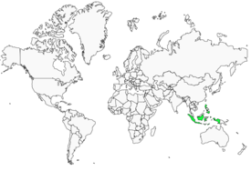 Distribution 
