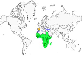 Distribution 