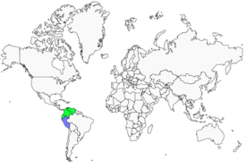 Distribution 