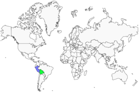 Distribution 