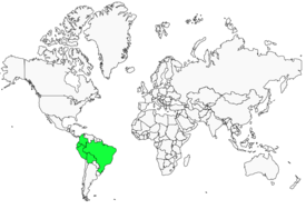 Distribution 