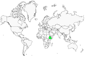 Distribution 