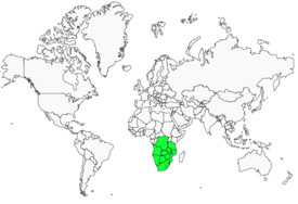 Distribution 