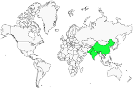 Distribution 