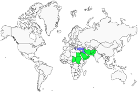Distribution 