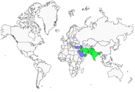 Distribution 