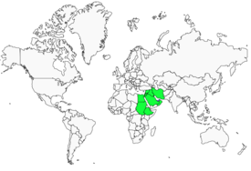 Distribution 