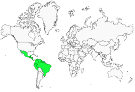 Distribution 