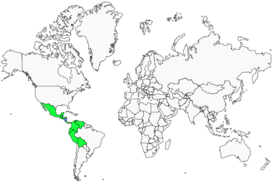 Distribution 