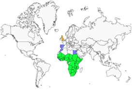Distribution 