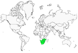 Distribution 
