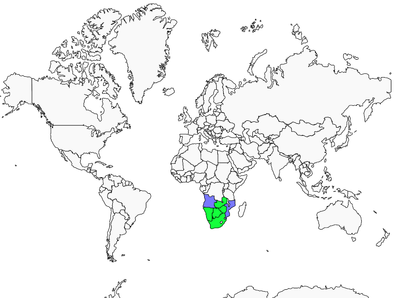 Distribution monotonous.lark