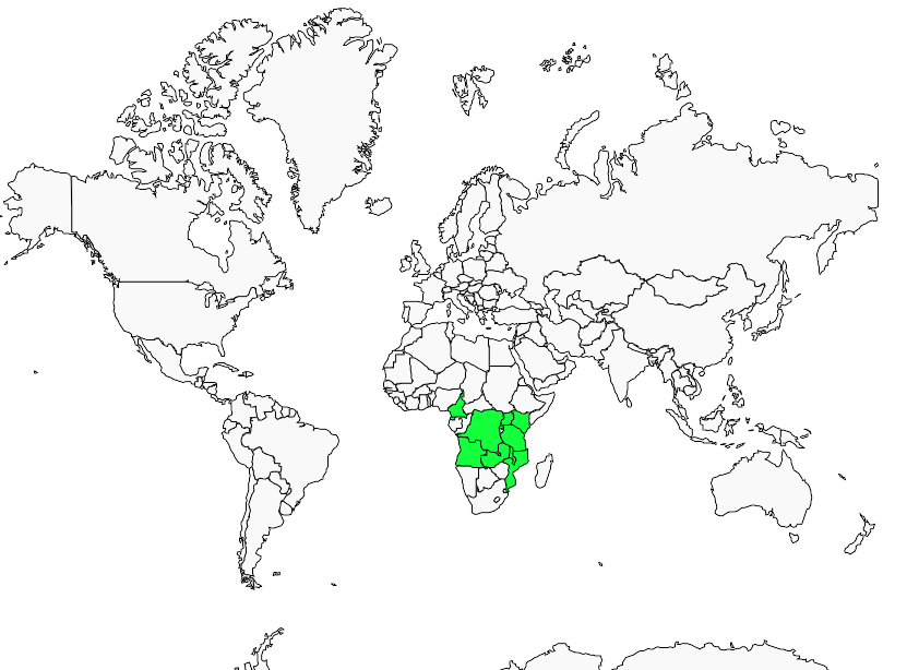 Distribution bouscarle.de.lopes