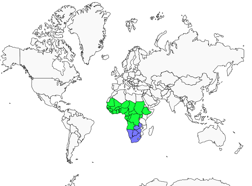 Distribution buse.d.afrique