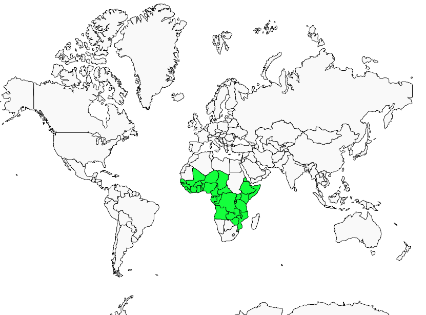 Distribution cisticole.a.ailes.courtes