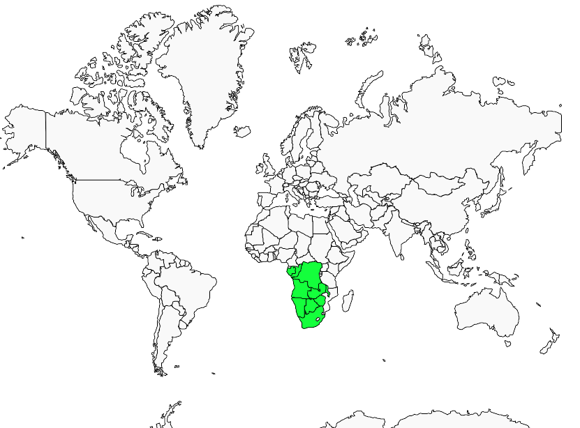 Distribution cisticole.grise