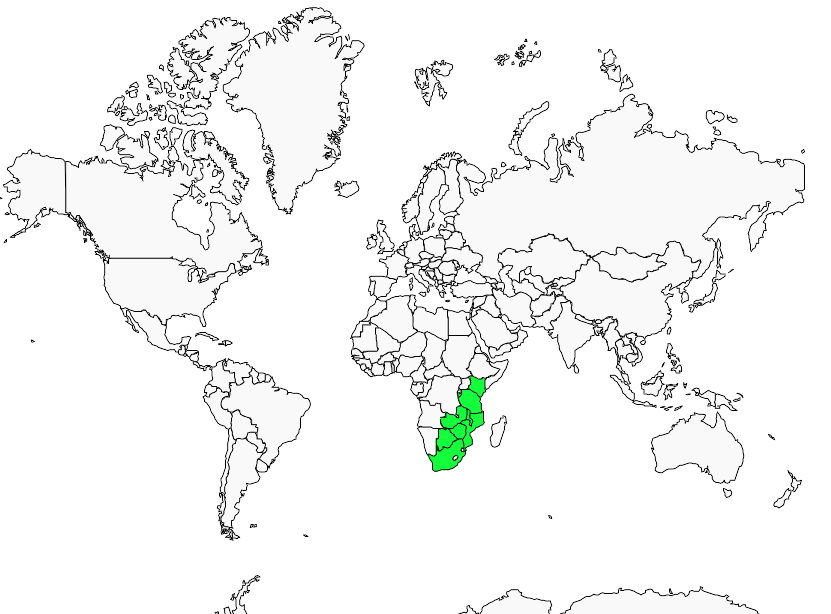 Distribution cisticole.roussatre