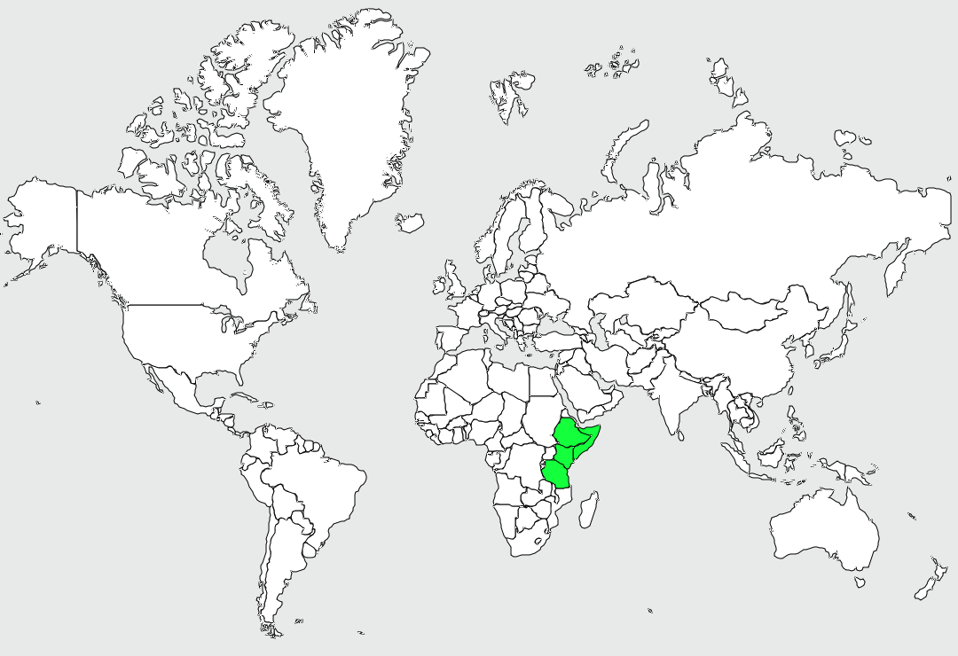Distribution cochevis.a.queue.courte