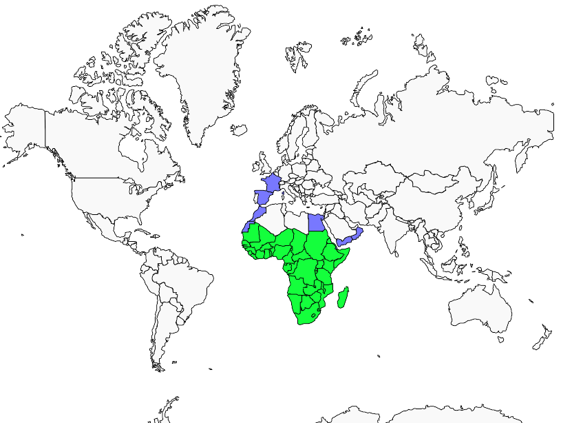 Distribution cormoran.africain