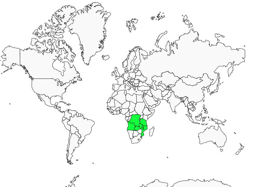 Distribution bohm.s.flycatcher