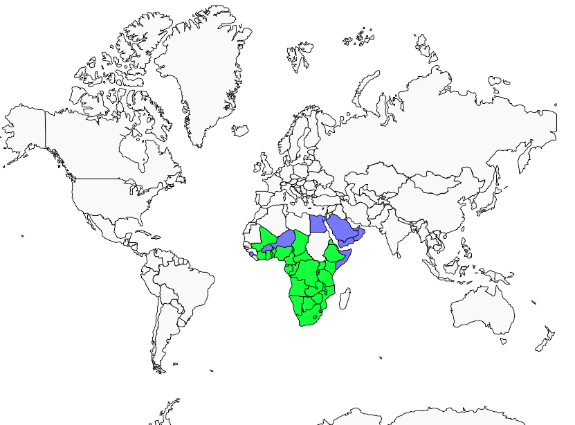 Distribution hirondelle.a.collier