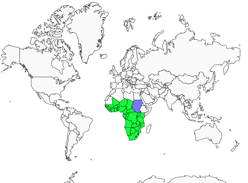 Distribution hirondelle.a.ventre.roux