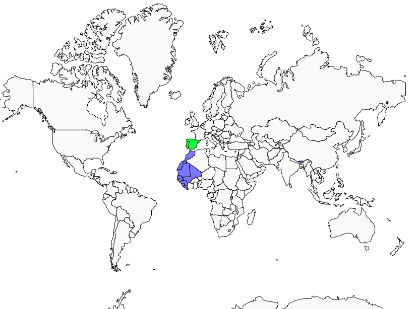 Distribution plain.swift