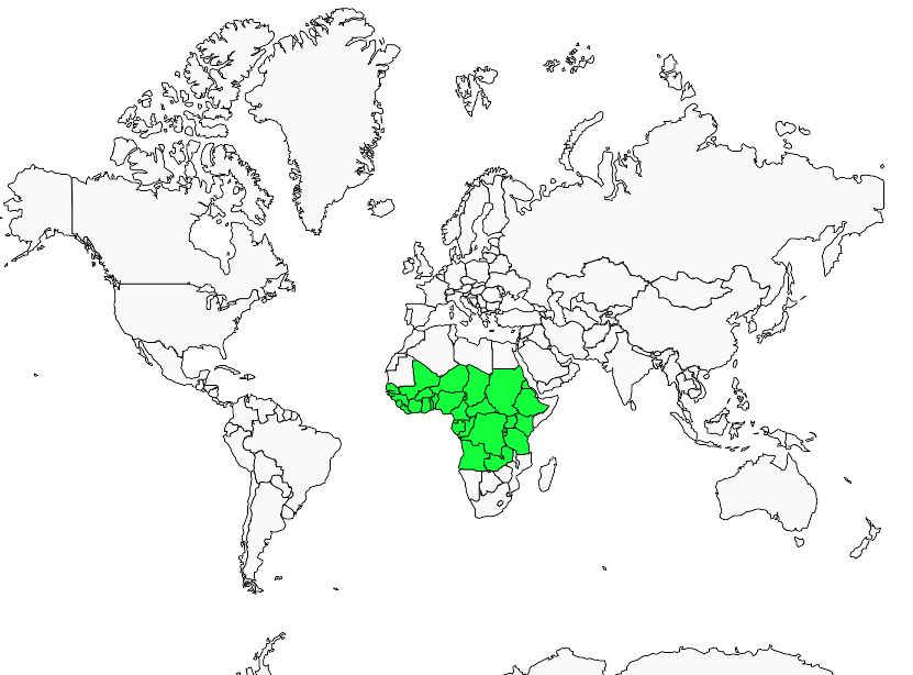 Distribution merle.africain