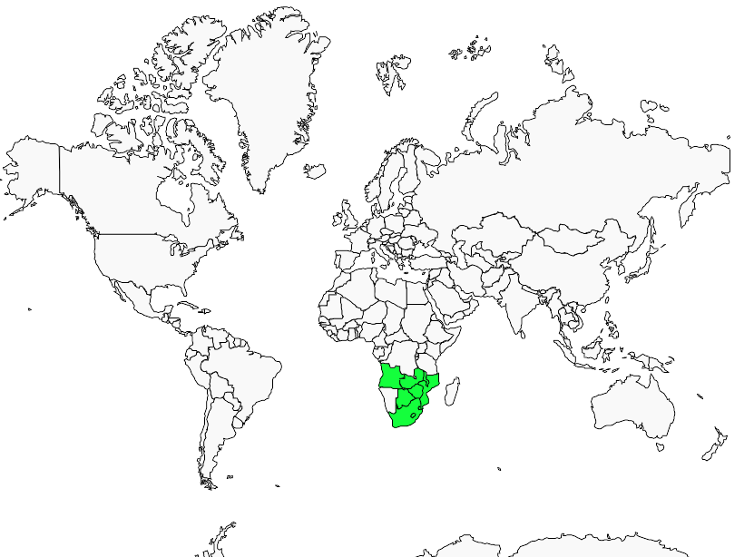 Distribution olive.thrush