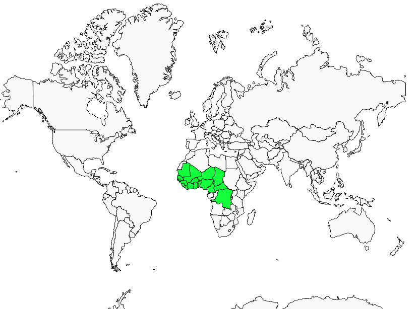Distribution pic.a.taches.noires