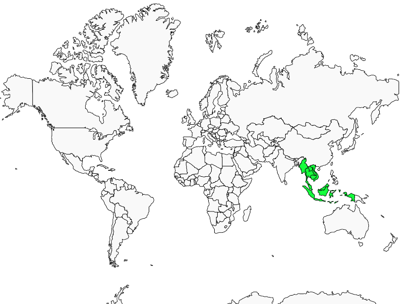 Distribution pied.fantail