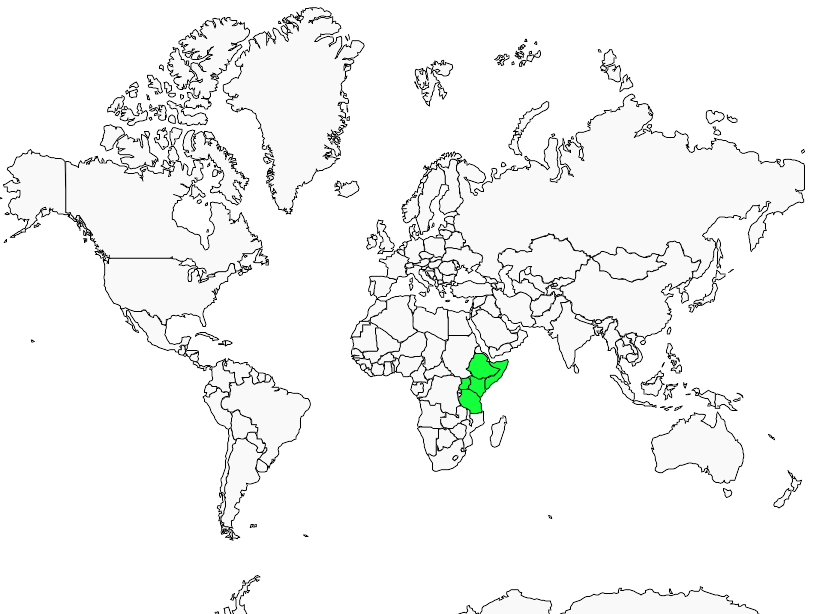 Distribution serin.a.ventre.blanc