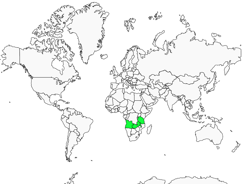 Distribution babbling.starling