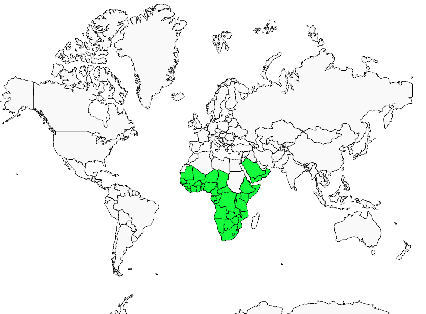 Distribution tchitrec.d.afrique