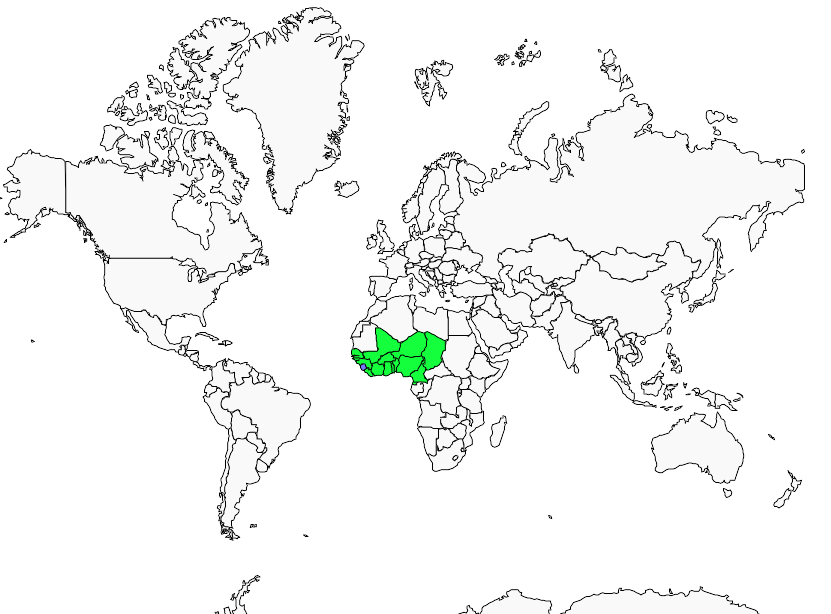 Distribution violet.turaco