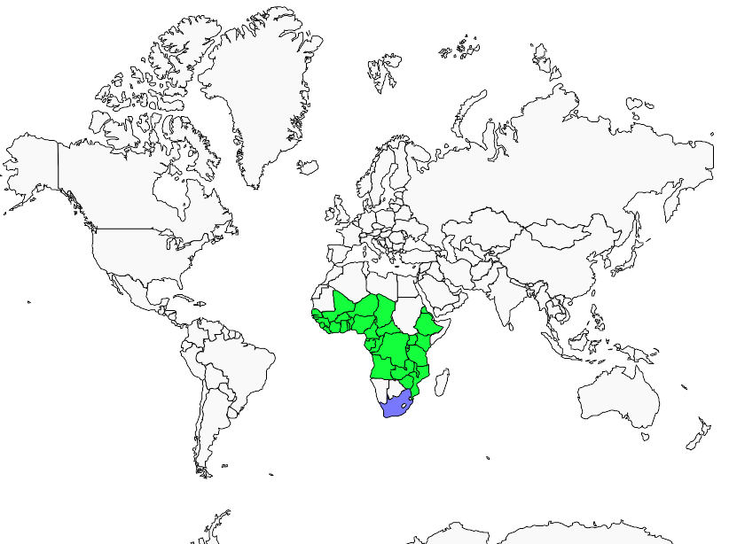 Distribution blue-spotted.wood-dove