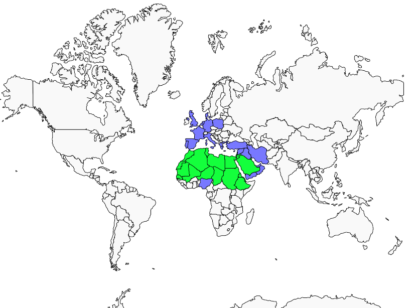 Distribution white-crowned.black.wheatear