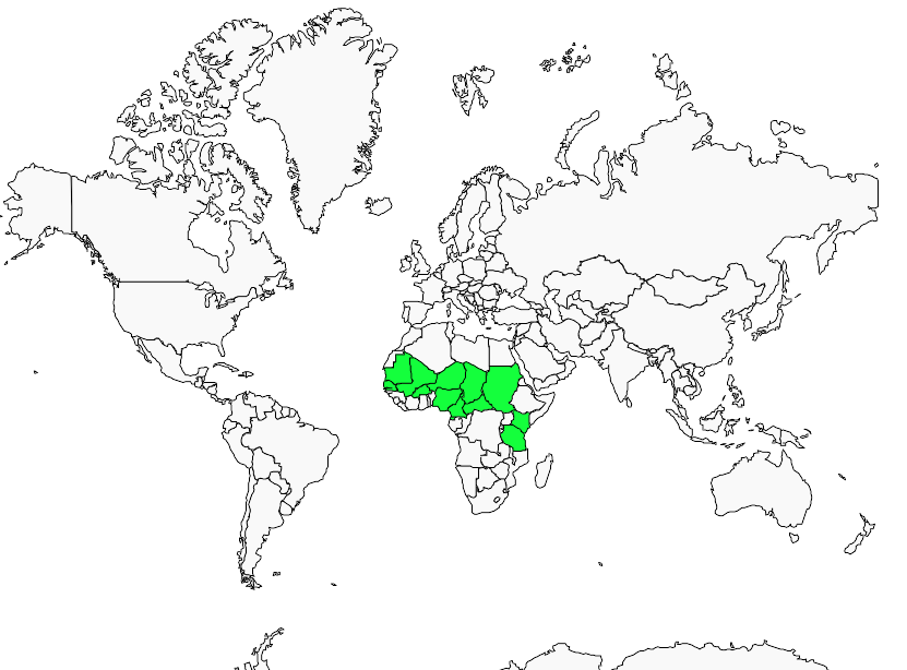 Distribution northern.anteater-chat