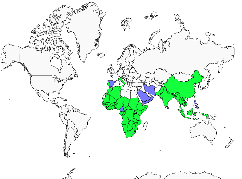 Distribution turnix.mugissant