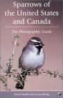 Sparrows of the United States and Canada: The Photographic Guide