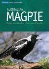Australian Magpie: Biology and Behaviour of an Unusual Songbird
